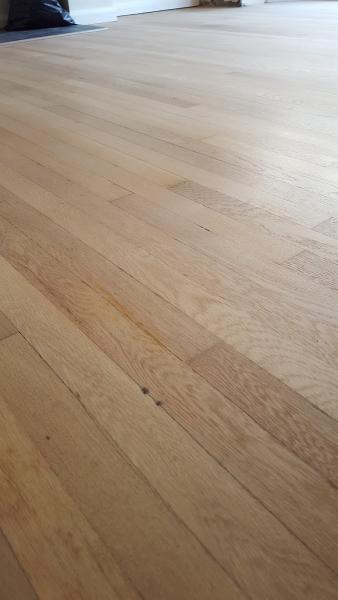 Arbor Wood Floors Ltd