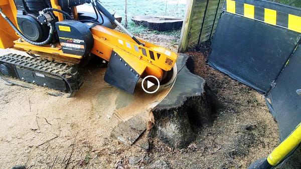 Berkshire Stump Removal