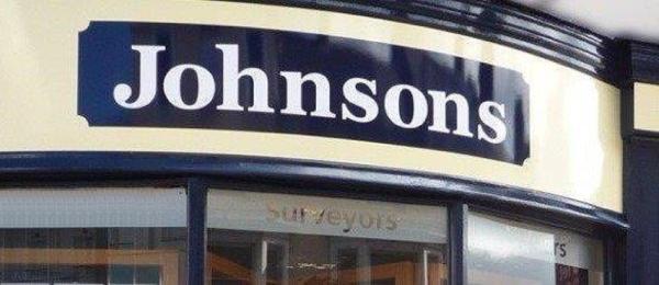 Johnsons Surveys