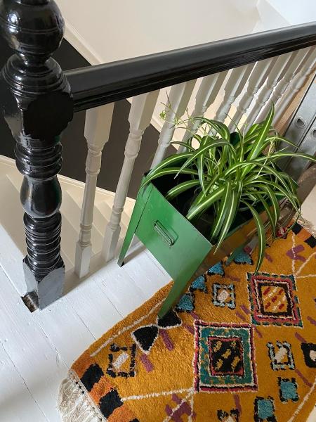 Beautiful Healthy Home