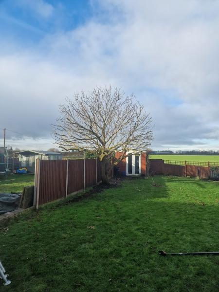 Northwest Tree Surgeons