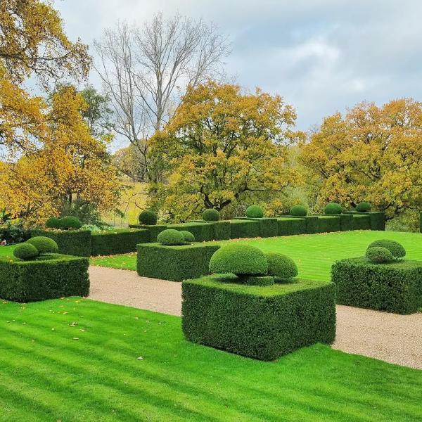 Sussex Topiary & Hedges