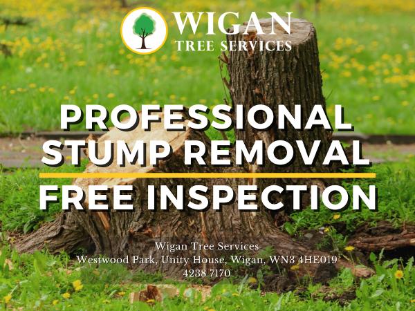 Wigan Treeservices