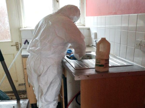 Hills Specialist Cleaning