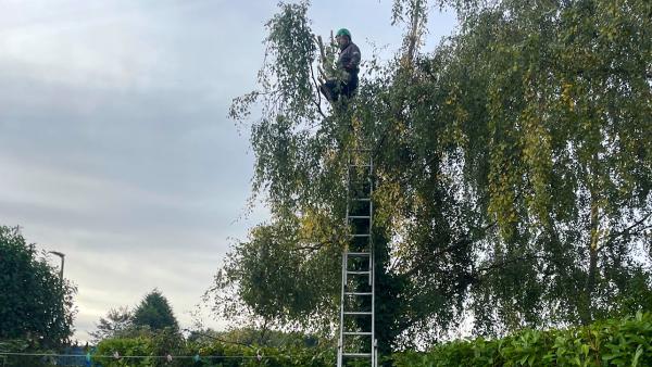 Middleton Tree and Landscaping Services Ltd