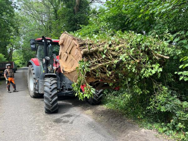 Highclere Tree Works Ltd