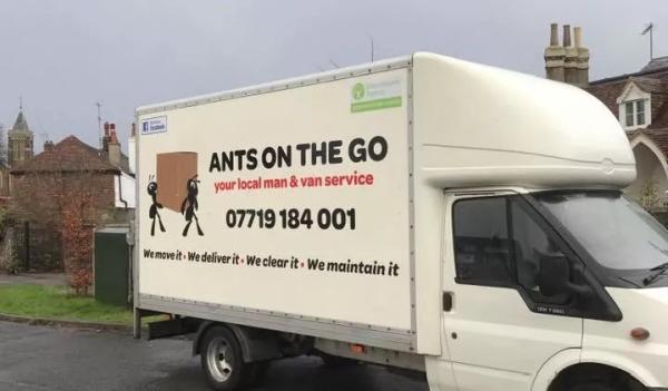 Ants on the go