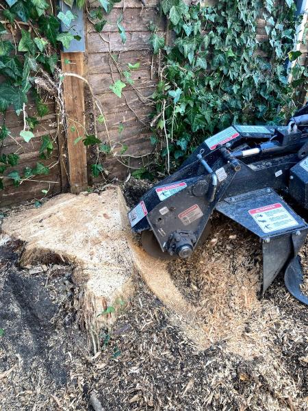 Southern Stump Grinding