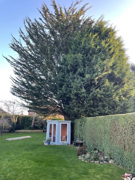 Leeds Tree Services