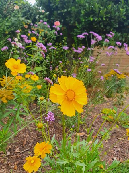 Buds and Blooms Horticultural Services