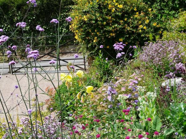 Clare Challis Garden Design