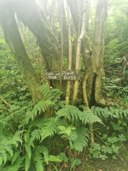 Craighead Horse Logging