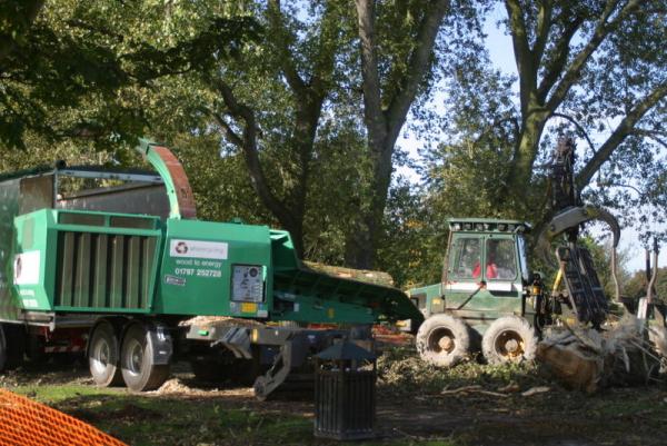 Canopy Tree Services