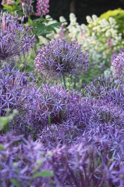 Keily Rutherford Garden Design & Maintenance