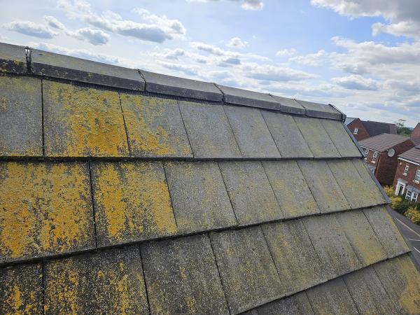 Spear Exterior Cleaning