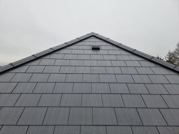 Belfast Delta Roofing NI Ltd