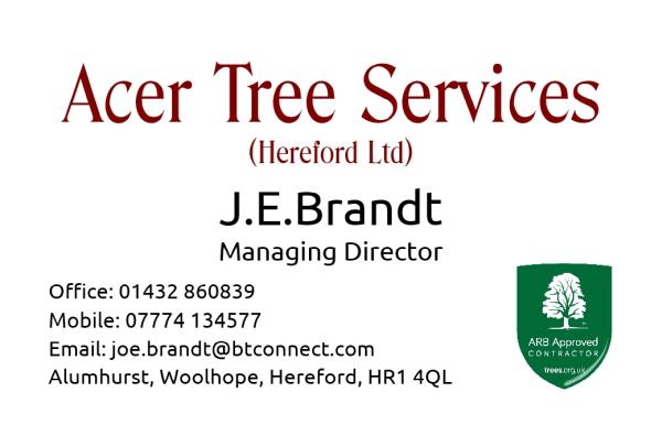 Acer Tree Services