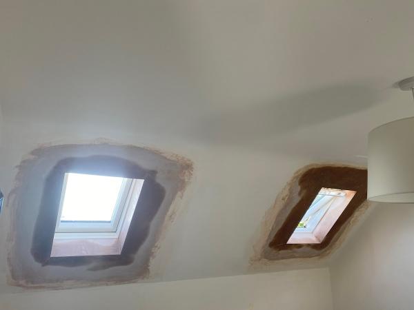 Distinctive Plasterers