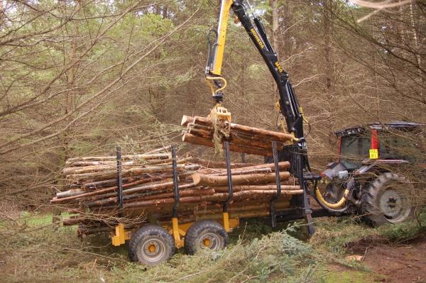 J. Turner Tree Surgery and Forestry