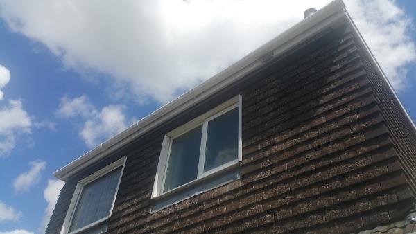 R&M Window & Gutter Cleaning Services