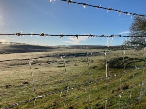 Stuartson & Co Agricultural & Equestrian Fencing