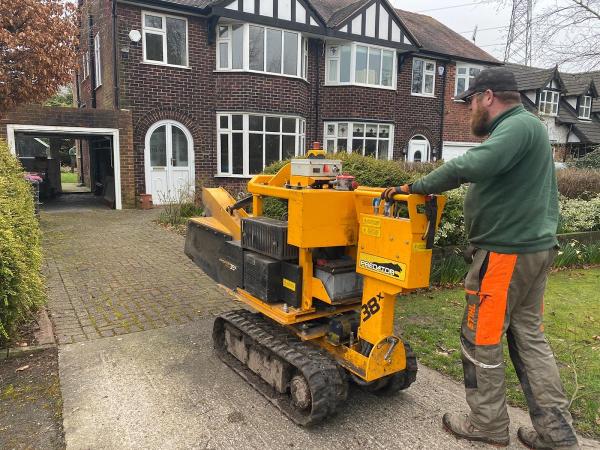 Northwich Tree Surgeon