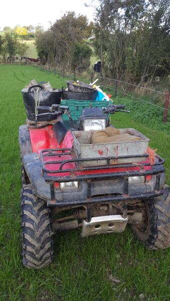 Shropshire Pest & Mole Control