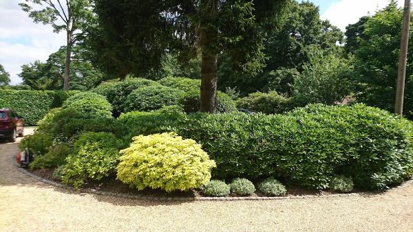 Cutting Edge Gardening Ltd