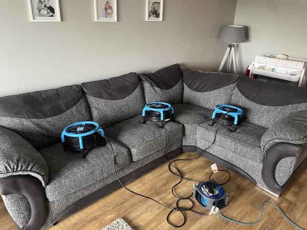 Easy Clean Carpet and Upholstery Cleaning