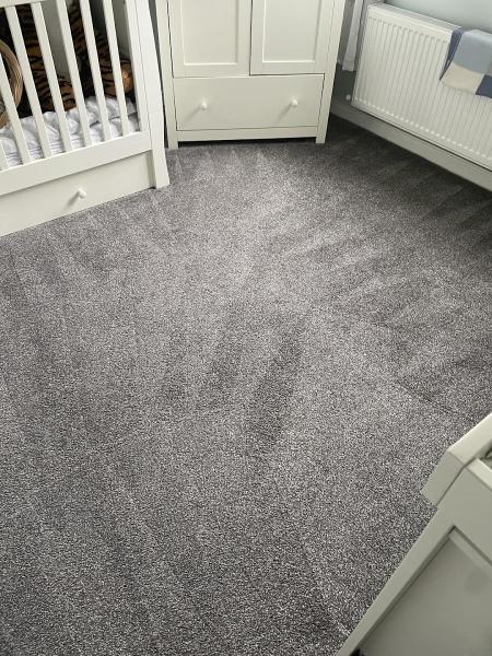 Easy Clean Carpet and Upholstery Cleaning