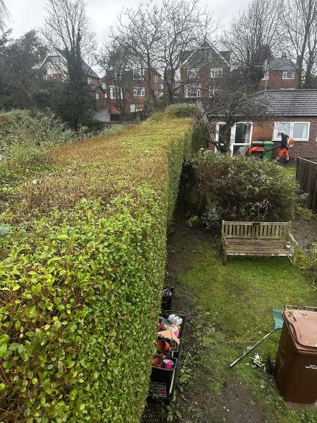 Morley Maintenance Arb & Agri Services