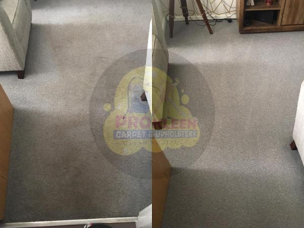 Prokleen Elite Carpet & Upholstery Cleaning Services