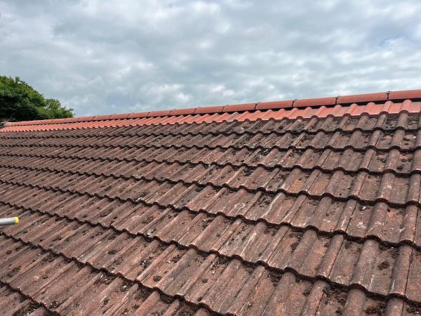 Tnt Roofing Bristol