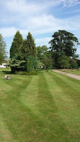 Lawns For Leisure