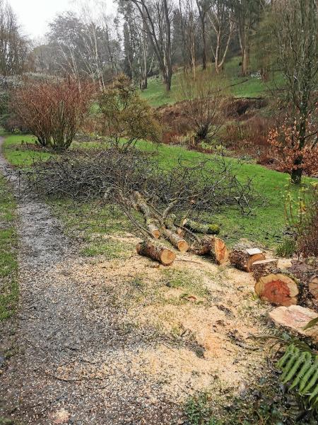 Oliver Peto Garden Management