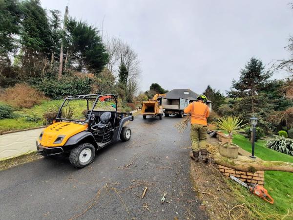 Devon and Somerset Tree Services