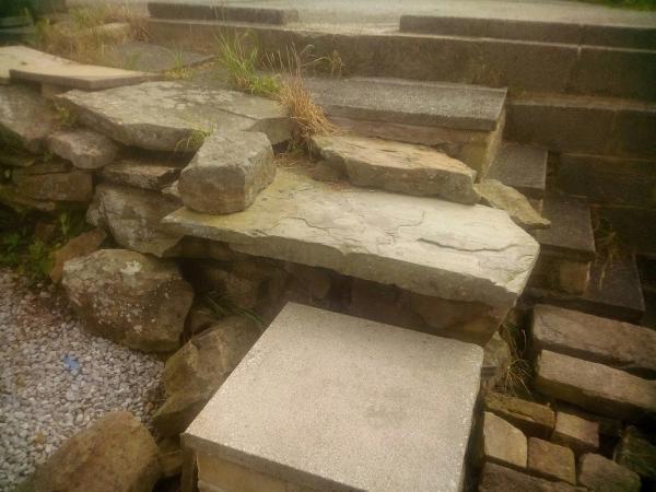 SAS Building and Landscaping