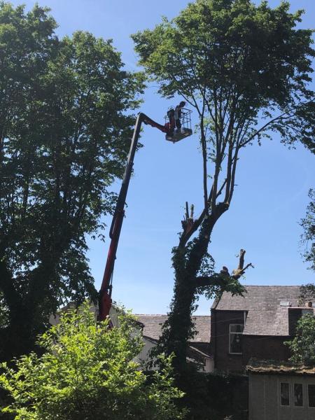 J Gaffney Garden & Grounds Maintenance