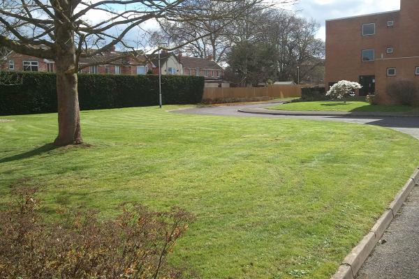 Avery Gardens & Grounds Maintenance