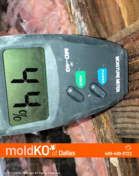 Mold KO