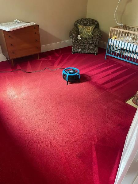 Nel's Carpet Cleaning Ltd