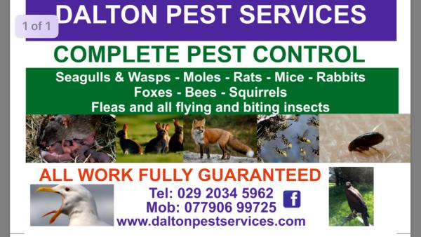 Dalton Pest Services