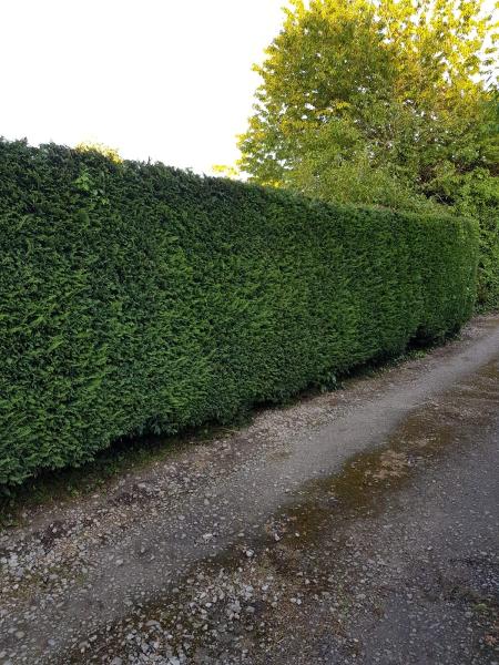 Herring Trees & Landscaping