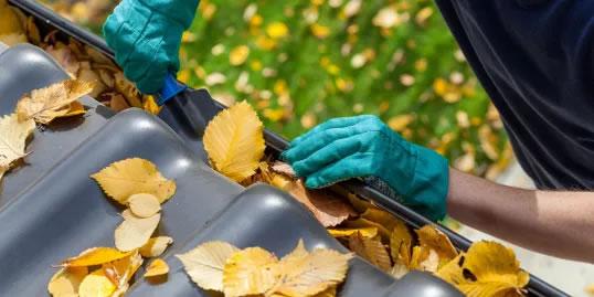 CM Gutter Cleaning Services