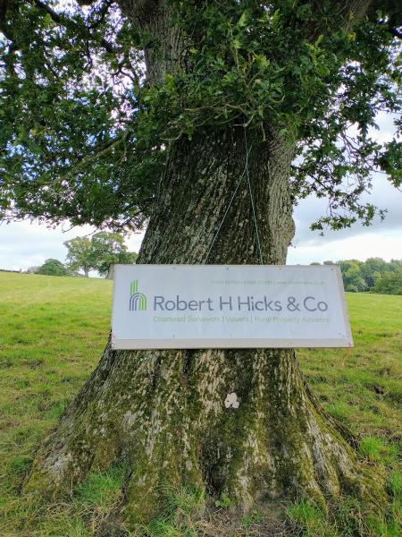 Robert H Hicks & Co