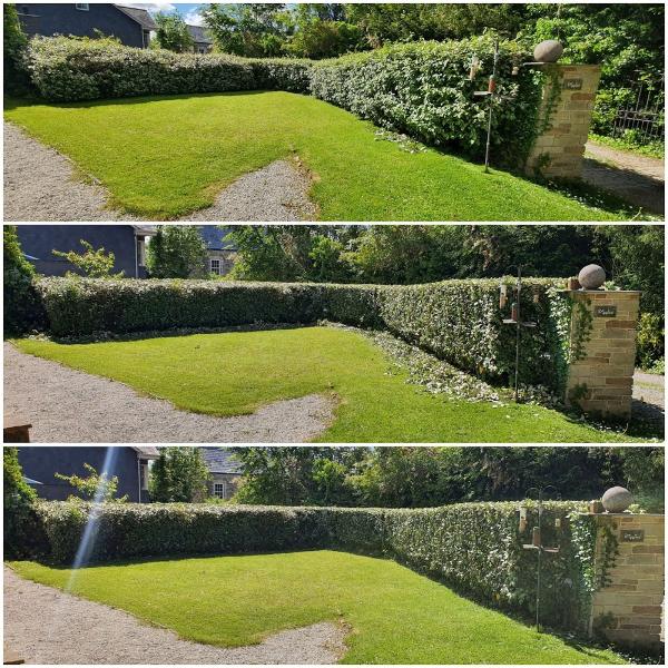 Mid Cornwall Garden & Property Care