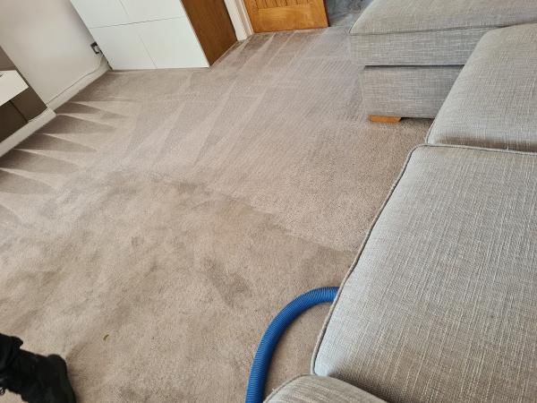 Paul Anderson Carpet and Upholstery Cleaning