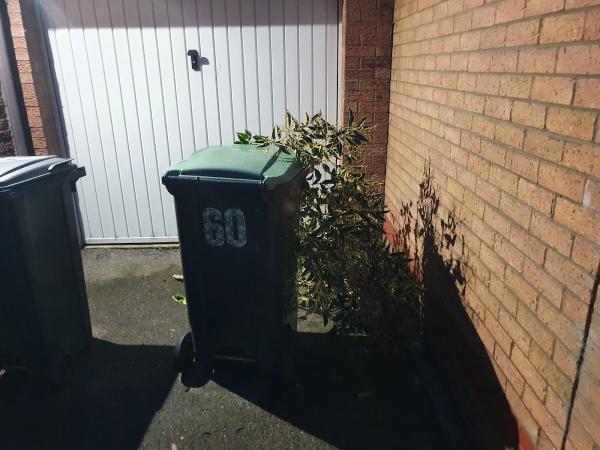 Wilby Tree Surgeons Ltd
