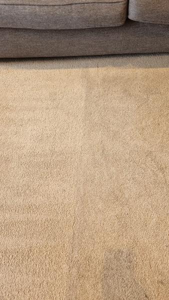 Gold Star Carpet and Upholstery Cleaning