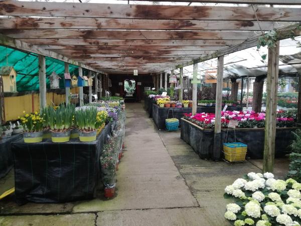 Oakridge Garden Centre & Maintenance